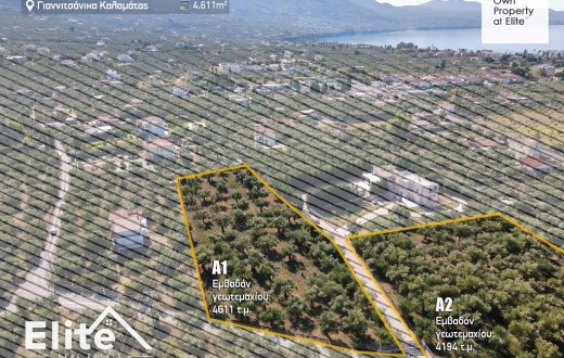 Plots for sale in Giannitsanika Kalamata