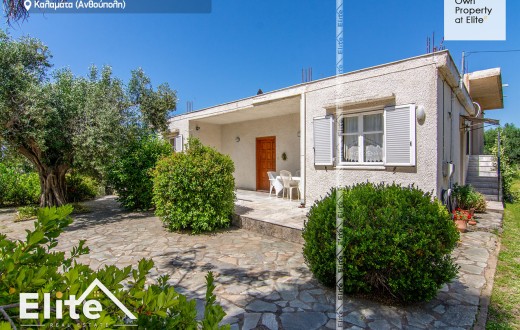 Sale Detached House Area Anthoupoli Kalamata