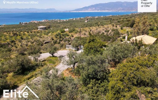 Land for sale in Megali Mantineia